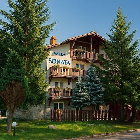 Willa Sonata - Apartamenty & Balia - Szklarska Poręba Exterior foto